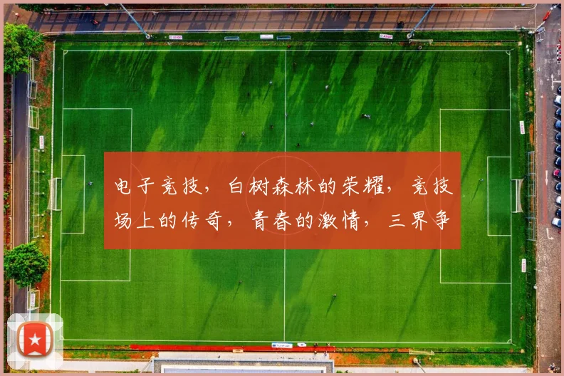 电子竞技，白树森林的荣耀，竞技场上的传奇，青春的激情，三界争锋，一触即发
