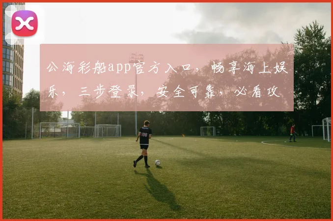 公海彩船app官方入口，畅享海上娱乐，三步登录，安全可靠，必看攻略