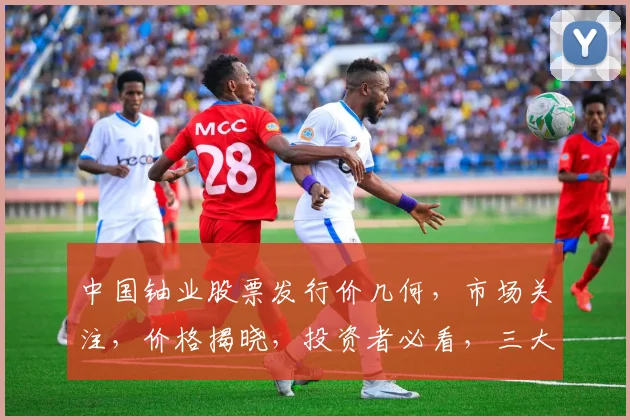 中国铀业股票发行价几何，市场关注，价格揭晓，投资者必看，三大亮点揭晓