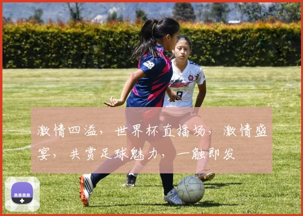 激情四溢，世界杯直播场，激情盛宴，共赏足球魅力，一触即发