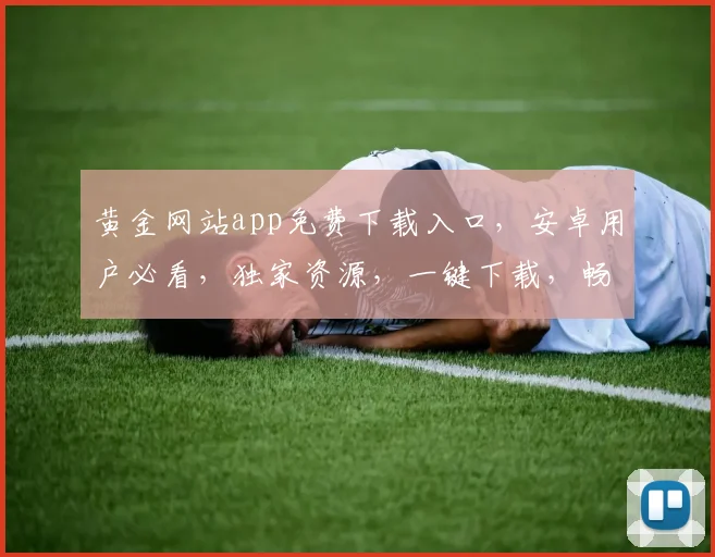 黄金网站app免费下载入口，安卓用户必看，独家资源，一键下载，畅享娱乐