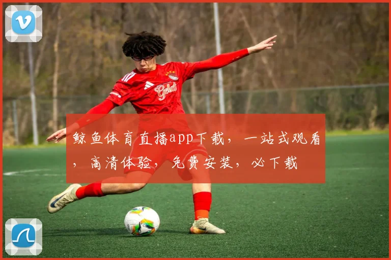 鲸鱼体育直播app下载，一站式观看，高清体验，免费安装，必下载